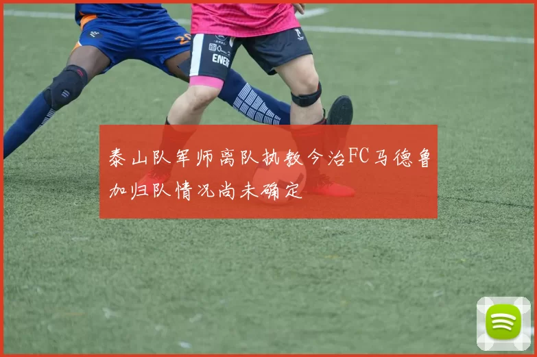 泰山队军师离队执教今治FC马德鲁加归队情况尚未确定